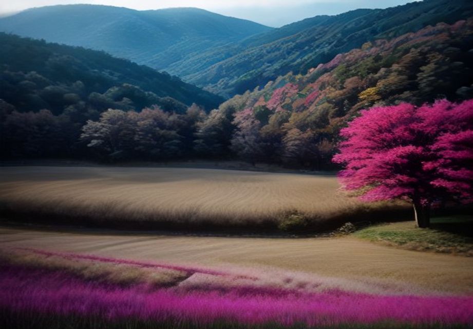 四季の花が咲く里山